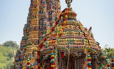 sigiriya-cp-sri-lanka